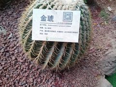 -呀路古热带植物园