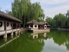-团结湖公园