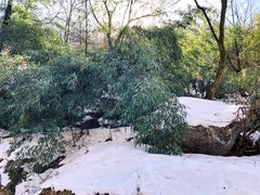 -秦岭终南山世界地质公园翠华山景区