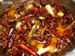 中国水煮鱼之乡&nbsp;水煮鱼4-翠云水煮鱼(双龙大道店)