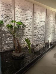 -VELEE·SPA高定疗愈会所