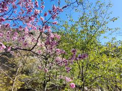 -崂山巨峰游览区
