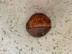 -粒上皇(天丰利市场店)