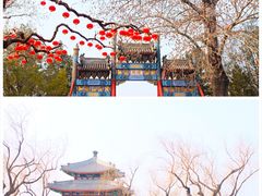 -颐和园