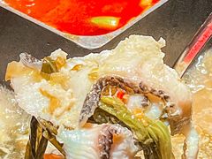 -洞子口重庆鲜货火锅(楚翘城旗舰店)