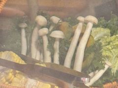 -椰子湾·海南火锅·糟粕醋·椰子鸡(正大广场店)