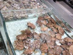 -永辉超市(鲁谷店)