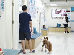 -美联众合动物医院·24h京西诊疗中心