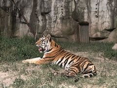 -上海野生动物园