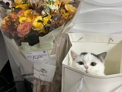 -植物学家的女儿(北马道巷店)