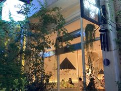 -春树下·树屋花房西餐厅(罍街AS1980店)