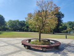-苏州金鸡湖大酒店