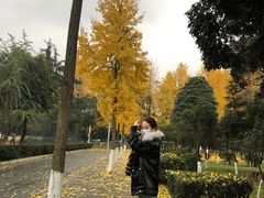 -四川大学(望江校区)