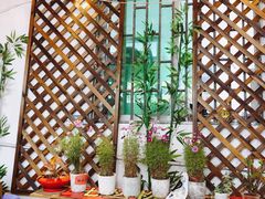 -老炳·七丛松甘草水果