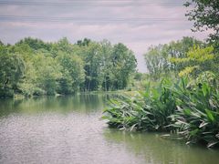 -桤木河湿地公园