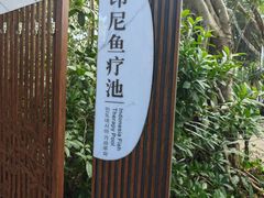 -碧水湾温泉