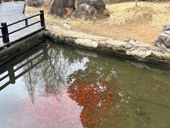 -白马涧龙池景区