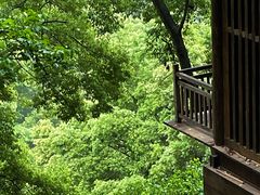 -南山植物园