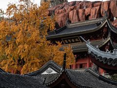 -上海东林寺(金山区)