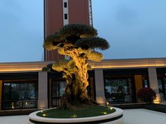 -颛桥紫薇花园
