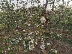 -亲兄弟真人CS团建拓展基地