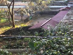 -三水森林公园