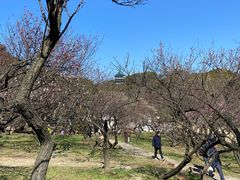 -无锡梅园公园