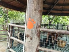 -珠海海泉湾神秘岛亲子乐园