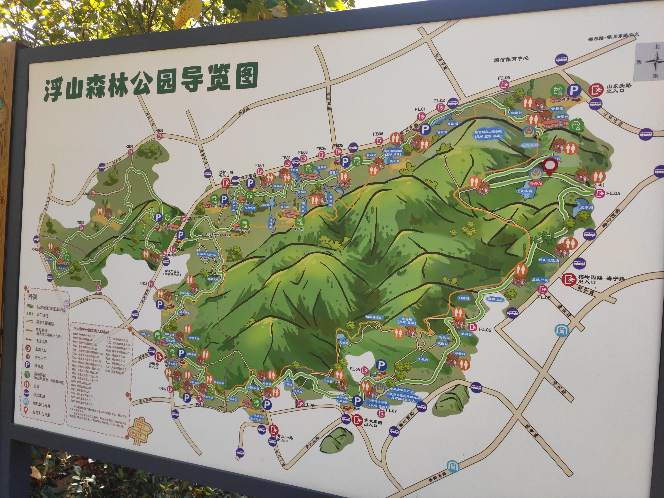 浮山森林公园,值得反复刷,每条路线都很有特色