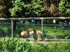 -贵州森林野生动物园