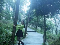 -铁山坪森林公园