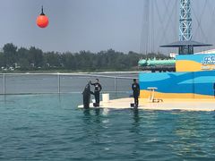 -秦皇岛乐岛海洋王国