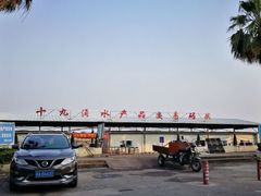-大湾区中央湿地公园-十九涌