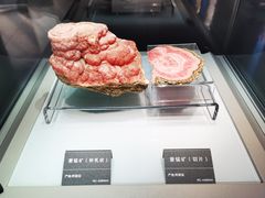 -安徽省地质博物馆