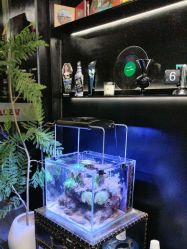 -北京V5舞蹈工作室