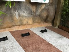 -青岛海泉湾度假区温泉