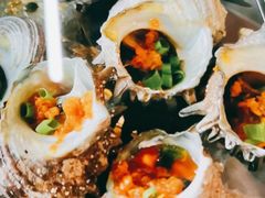 -海胆公主南澳岛美食海鲜