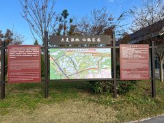 -盐城丹顶鹤湿地生态旅游区
