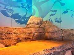 -沈阳海洋探索中心