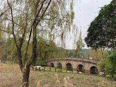 -桂湖森林公园