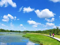 -塞罕坝国家级自然保护区