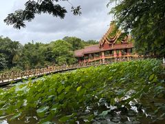 -西双版纳总佛寺