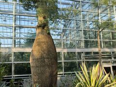 -南山植物园
