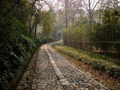 -镇江市南山风景名胜区竹林景区