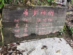 -海南热带雨林国家公园吊罗山景区