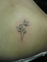 -XTATTOO海娜手绘