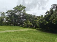 -深圳湾公园(南山区)