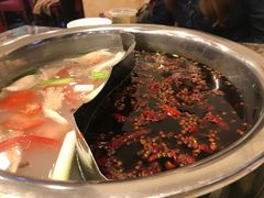 -朱氏胖子烂火锅(洪崖洞店)