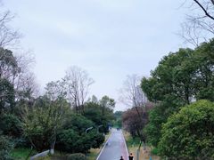 -洋湖国家湿地公园