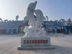 -石家庄极地海洋世界